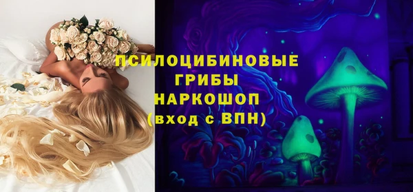 стаф Белоозёрский